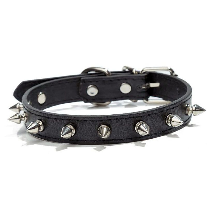 dog collar 