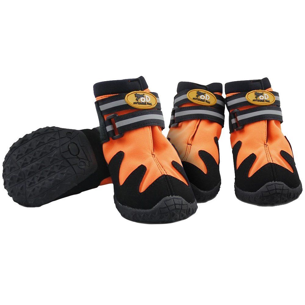 Dog Boots